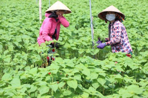 Tác động tích cực từ phong trào “Dân vận khéo”