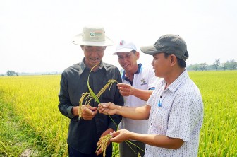 Phú Tân phát huy thế mạnh nông nghiệp