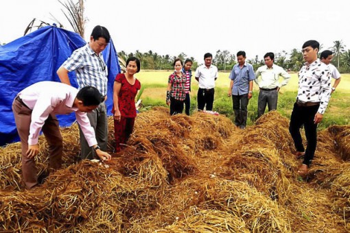 Mô hình thích ứng với hạn, mặn