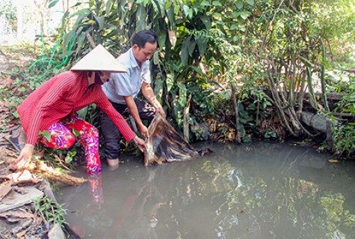 An Giang: Tích cực phòng, chống xâm nhập mặn