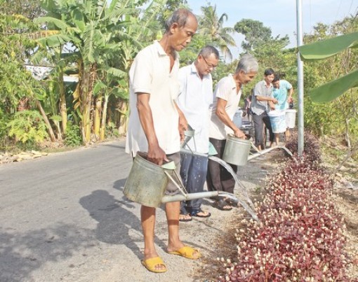 Vĩnh Long: Đường về Long Mỹ thêm đẹp