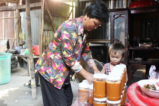 Mô hình hiệu quả, khởi sắc miền quê