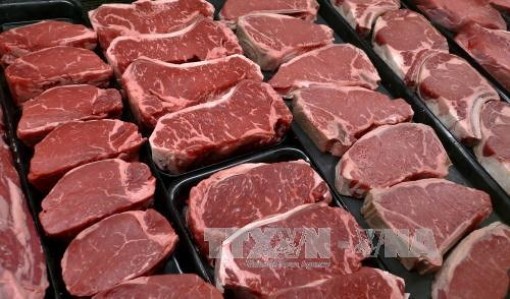 Cơ hội mua ô tô, thịt, sữa từ châu Âu giá rẻ đang tới gần