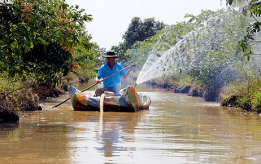 Hiệu quả các công trình ngăn mặn