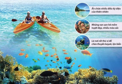 Nha Trang lọt Top 10 điểm lặn biển đẹp nhất thế giới 2020