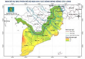 Vựa lúa số 1 Việt Nam: Xâm nhập mặn còn tăng từ các đợt triều cường
