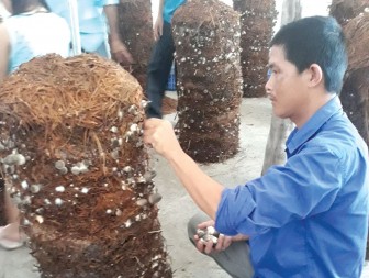 Nông dân liên kết phát triển nghề trồng nấm