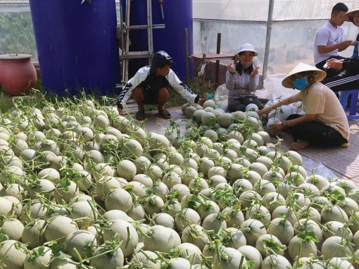 Nông dân An Giang thời nay