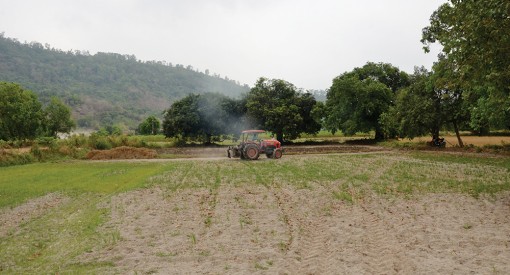 Mùa khô 2020 gay gắt hơn năm 2016