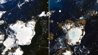 Nóng thiêu đốt Nam Cực, làm tan chảy 20% tuyết trên đảo