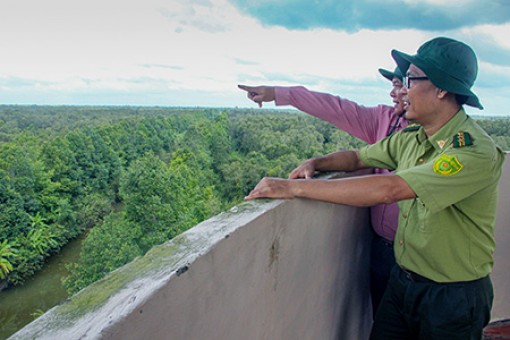 Đồng bằng sông Cửu Long: Dồn sức phòng, chống cháy rừng