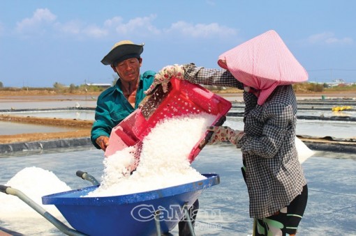 "Lên đời" hạt muối Cà Mau