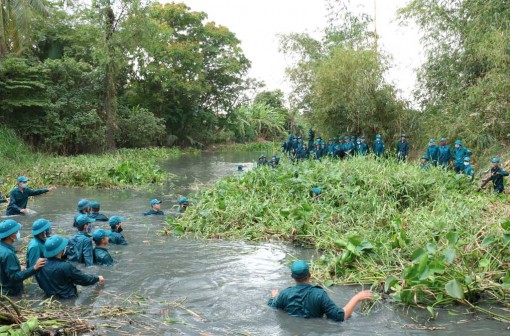 Tập trung phòng, chống hạn, mặn