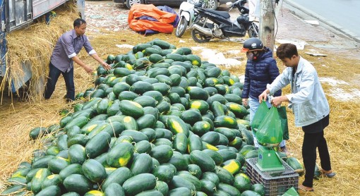 Liên đoàn Lao động tỉnh phát động các cấp Công đoàn tiêu thụ nông sản giúp nông dân