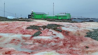 Tuyết nhuốm màu đỏ máu phủ kín ngoài trạm nghiên cứu Nam Cực