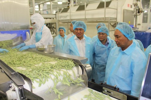 Phát triển công nghiệp chế biến nông sản