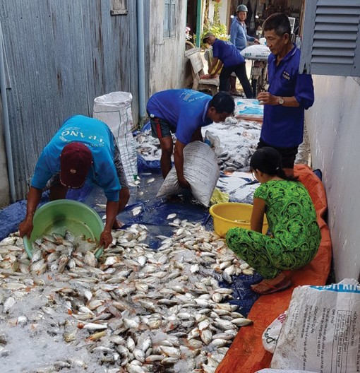 Khẩn trương di dời lồng bè trên khu vực sông Cái Vừng