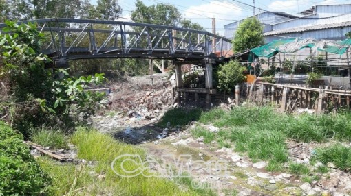 Cà Mau: Công bố tình huống khẩn cấp hạn hán cấp độ 2 tại vùng ngọt hóa