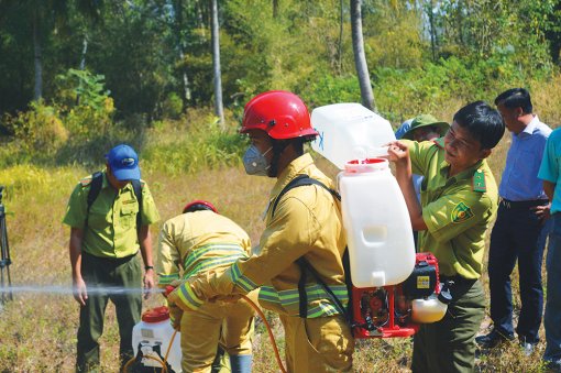 An Giang tập trung bảo vệ rừng