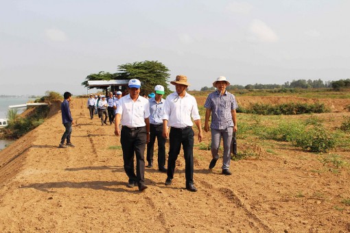 Quy hoạch lại sản xuất theo hướng nâng cao giá trị sản phẩm