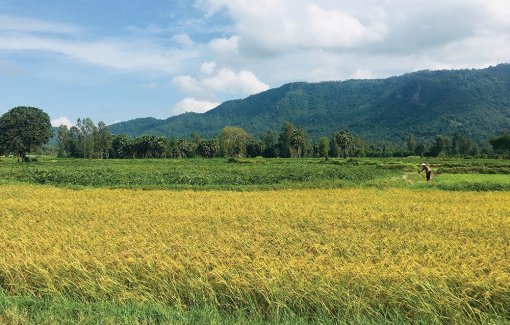 Mùa khô Bảy Núi