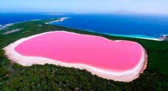 Hồ nước lạ lùng màu kem dâu nổi tiếng thế giới ở châu Phi