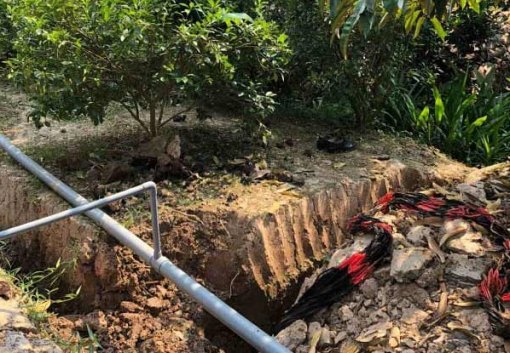 Tiền Giang: Thu gom đầu đạn trong khu vườn tại xã Bàn Long