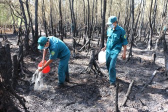 Bảo vệ và phát triển rừng tràm Tân Tuyến