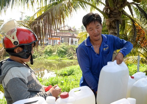 Tiền Giang: Cấp nước ngọt miễn phí để cứu sầu riêng