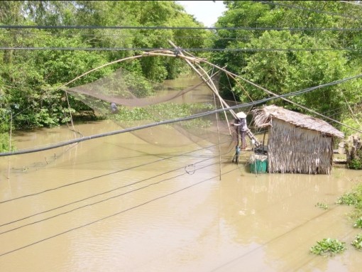 Từ 16-3 đến 6-4 mặn xâm nhập ở ĐBSCL sẽ giảm dần