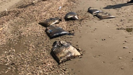 Bến Tre đang làm rõ 750 bao tải lạ dạt vào bờ biển