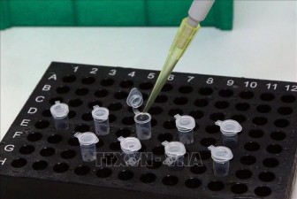 Nhiều nước đặt hàng Việt Nam sản xuất bộ kít xét nghiệm vius SARS-CoV-2
