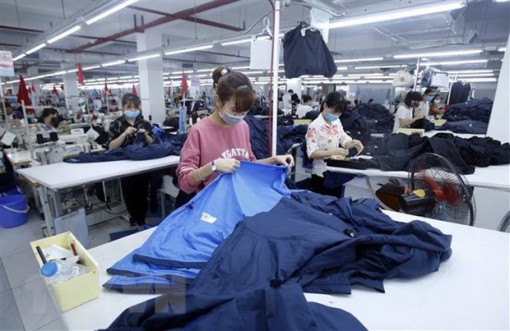 'Việc EU đóng cửa biên giới chưa ảnh hưởng tới lưu thông hàng hóa'