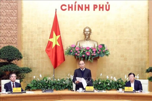 Thủ tướng: Phải bảo đảm an ninh lương thực vững chắc trong mọi tình huống