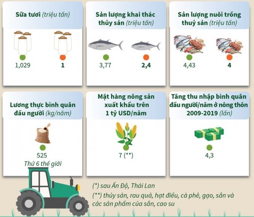 Việt Nam đạt nhiều thành tựu trong sản xuất lương thực