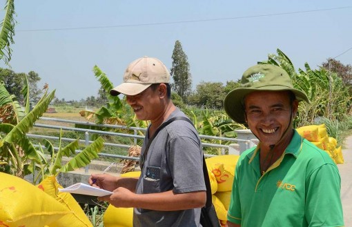 Tiền Giang: Nụ cười trên cánh đồng khô hạn