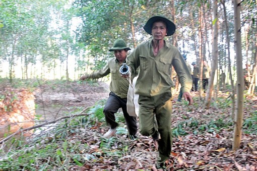 Cà Mau: Giữ màu xanh cho rừng
