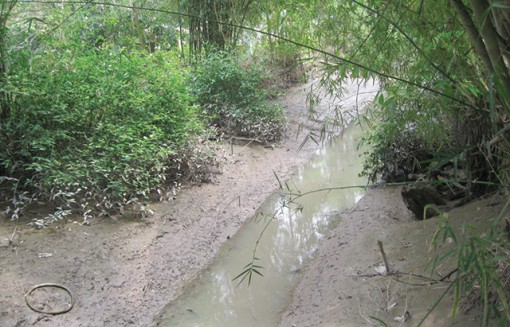 Đồng Tháp đề nghị Trung ương hỗ trợ kinh phí 98,116 tỷ đồng phòng, chống hạn hán