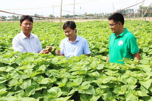 An Thạnh Trung kêu gọi đầu tư, tạo đà phát triển kinh tế địa phương