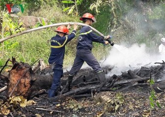 Nhiều diện tích rừng Nam bộ ở mức cảnh báo cháy cực kỳ nguy hiểm