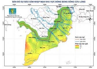 Xâm nhập mặn ở vựa lúa số 1 Việt Nam có thể tăng trong tuần tới