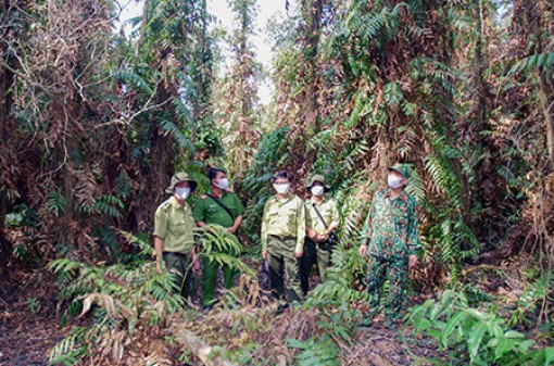 Hậu Giang: Nâng dự báo cháy rừng lên cấp cực kỳ nguy hiểm