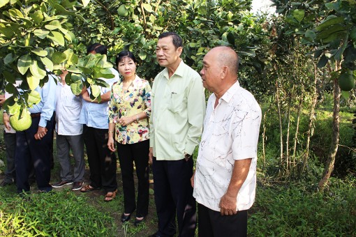 Thoại Sơn tập trung công tác chuẩn bị Đại hội Đảng bộ các cấp
