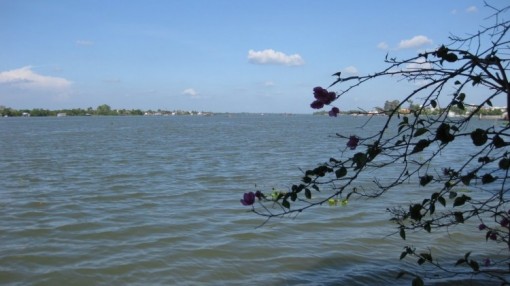 Bến Tre: Độ mặn trên sông Cổ Chiên có xu hướng giảm