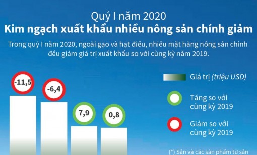 Quý I, kim ngạch xuất khẩu nhiều nông sản chính giảm