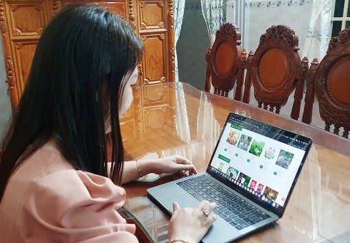 "Đi chợ online" mùa dịch bệnh Covid-19