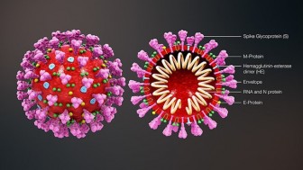 Australia chụp hình 3D virus SARS-COV-2 hỗ trợ chế tạo vắcxin