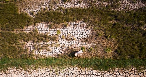 Người dân Đồng bằng sông Cửu Long gồng mình chống hạn, mặn khốc liệt