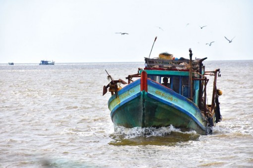 Bấp bênh nghề biển ở Cà Mau