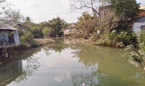 Bến Tre: Ô nhiễm môi trường trên rạch Cái Cá